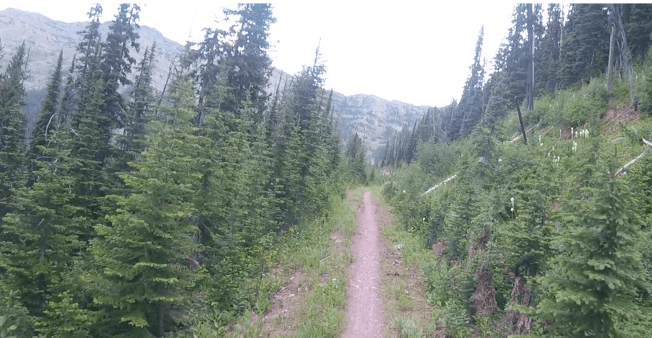 Screen Shot 2017-11-26 at 8.30.46 AM