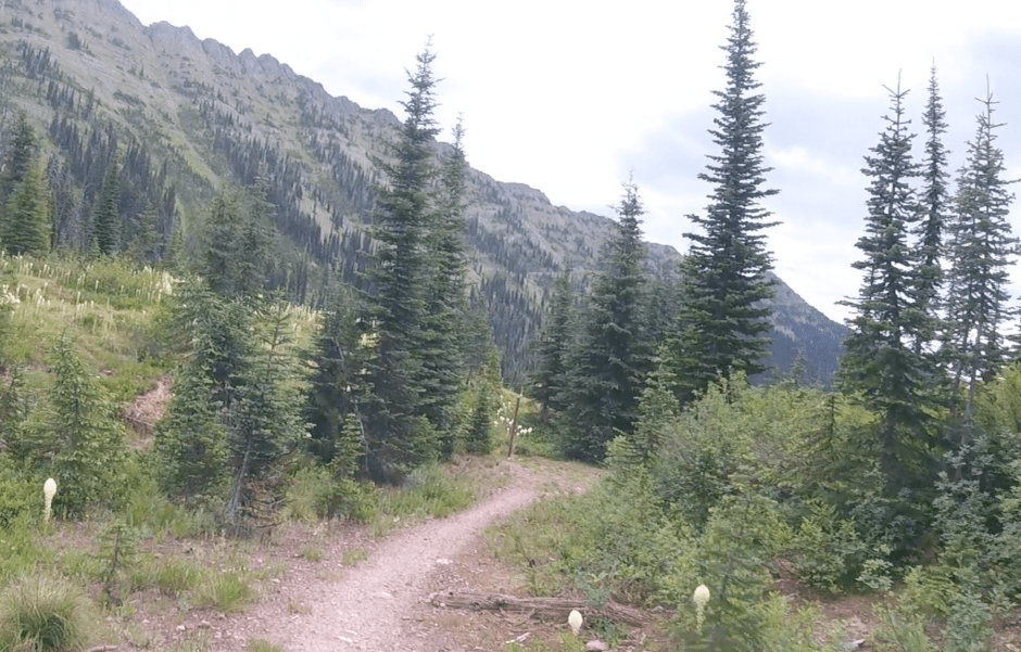 Screen Shot 2017-11-26 at 8.32.22 AM