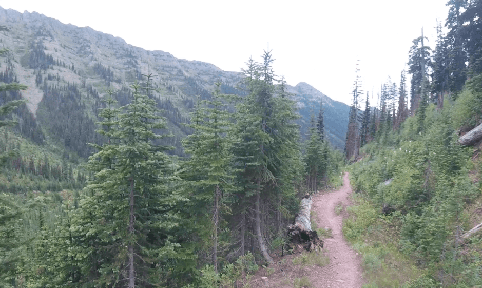 Screen Shot 2017-11-26 at 8.36.12 AM